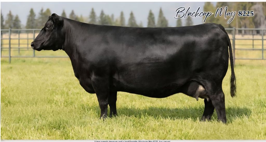 img_20251002_123038(1)(1)7324854106131915683